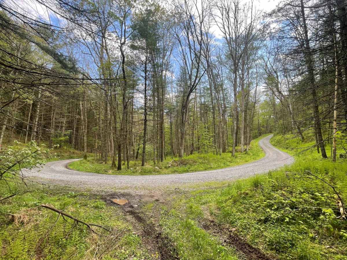 Oak Ridge Road trail photo