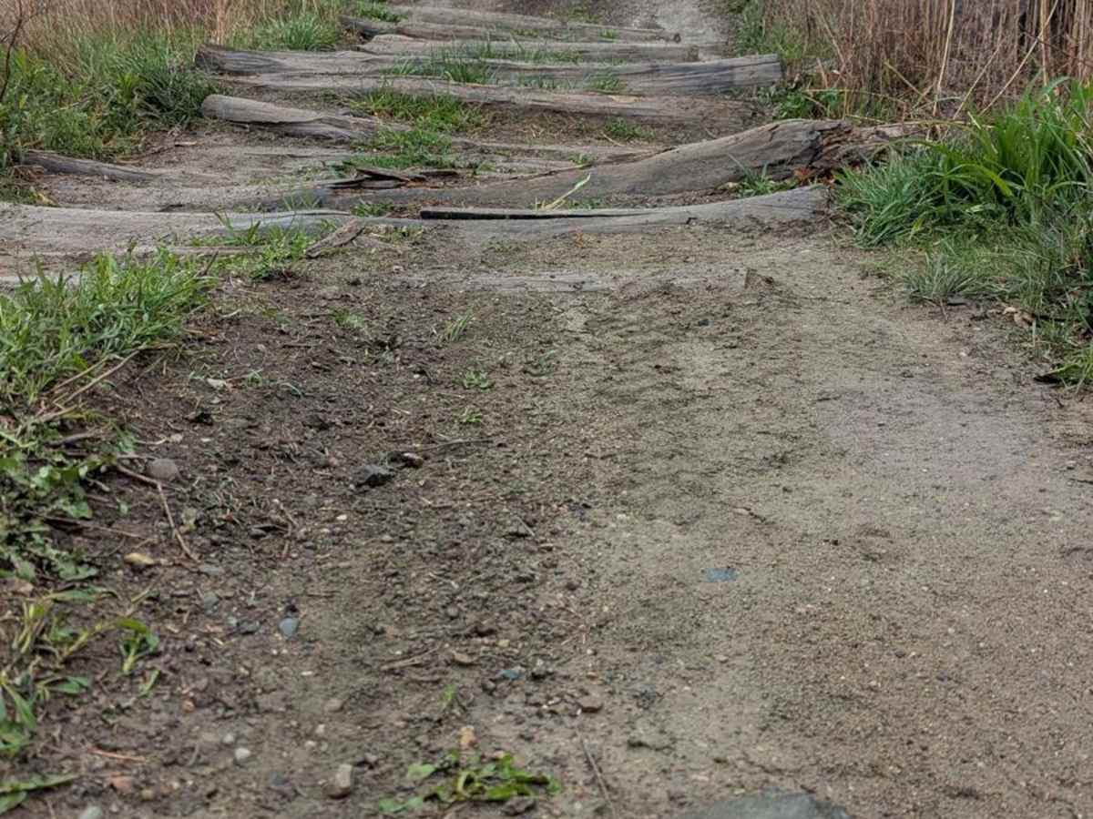 Endurance Trail photo 4