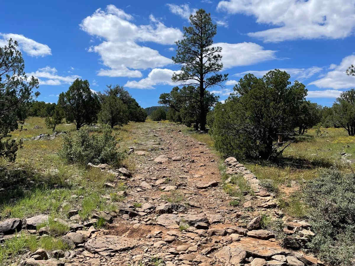 Schnebly Terraces Trail photo 6