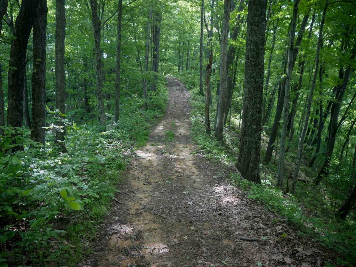 RV31 trail photo