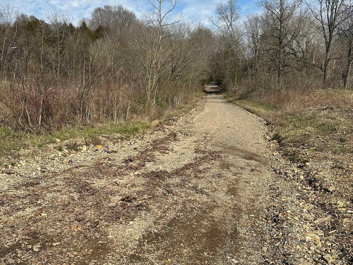 Salt Lick Creek Crossing photo 2