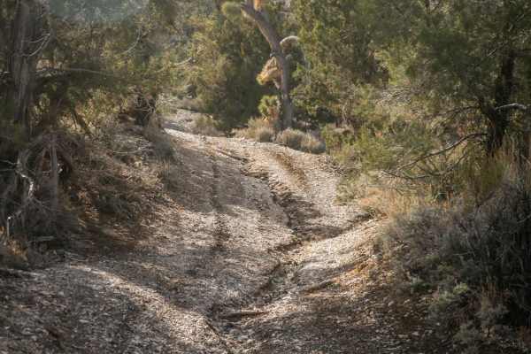 081 Bypass Trail