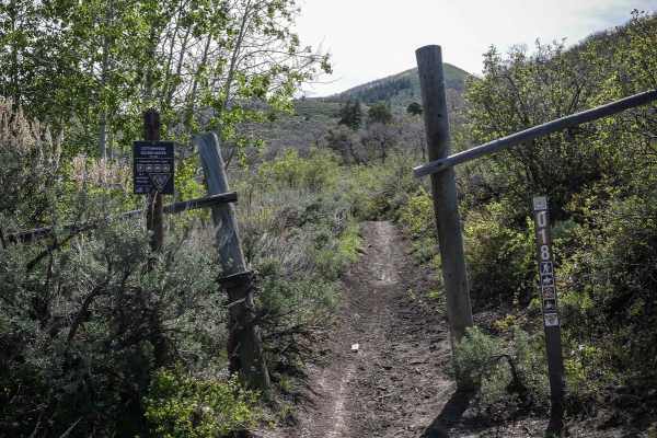 Cottonwood Second Water #018