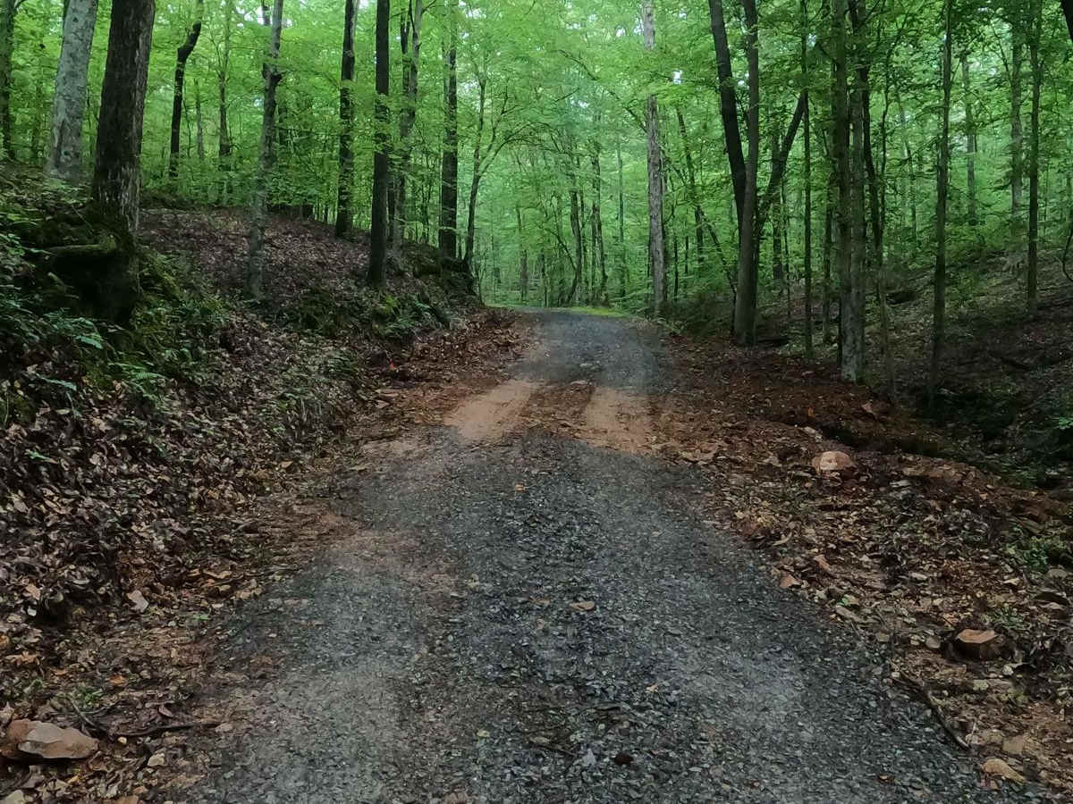 Gatlin Point North FSR 228 photo 6