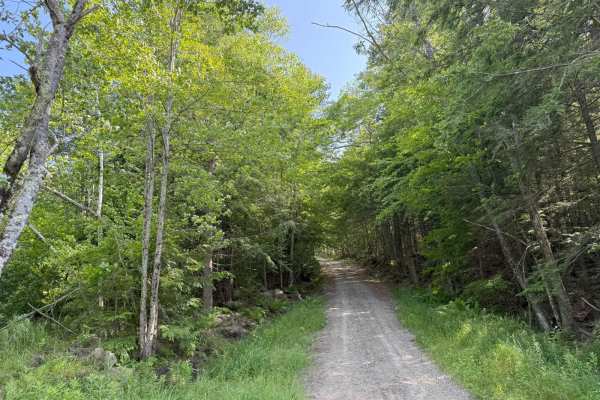 Caverly Road to Devil's Den Road