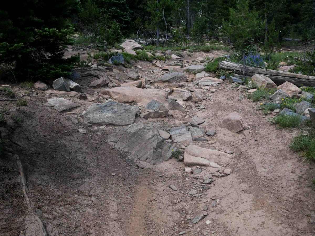 Hare Trail trail photo