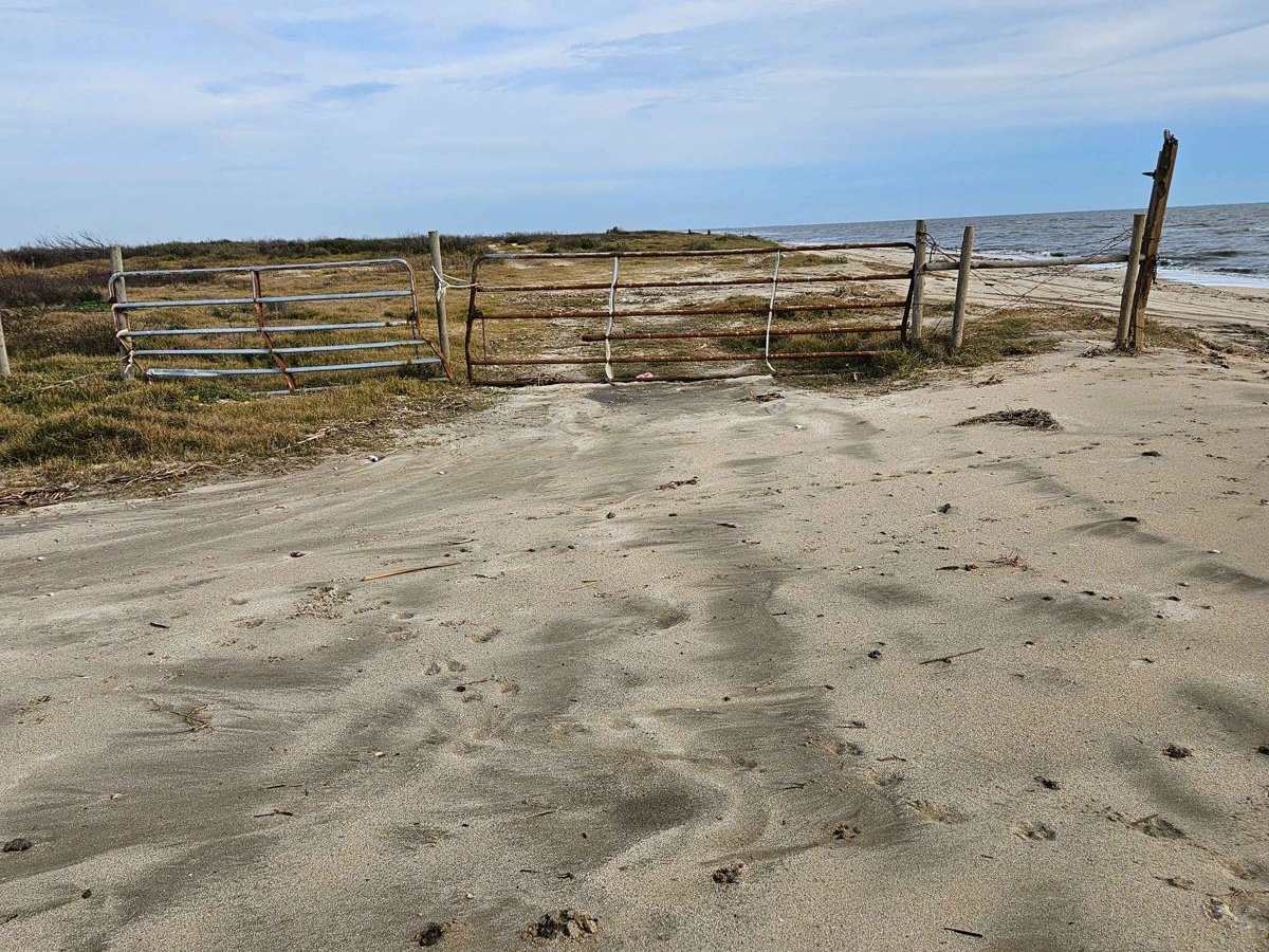Rutherford Beach Mesquite Ridge photo 4
