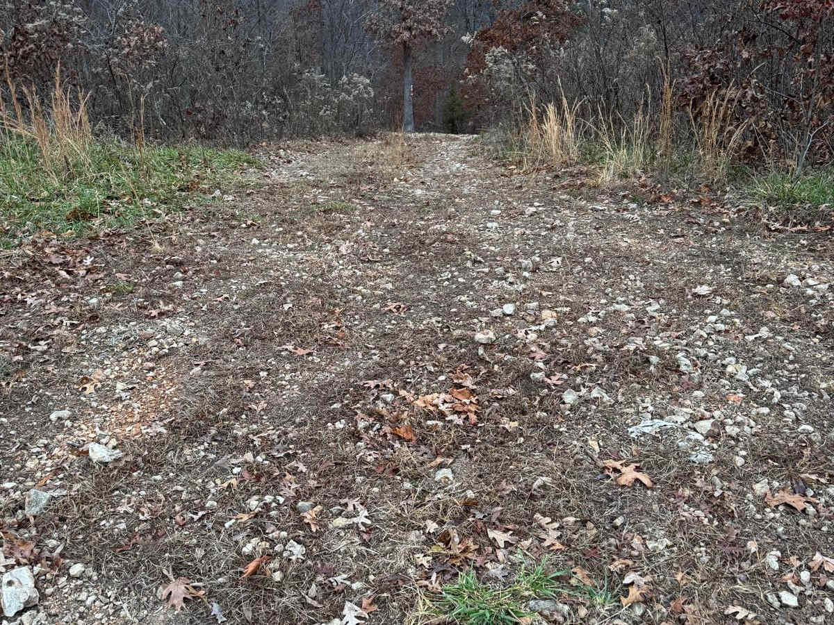Copperhead 295 trail photo