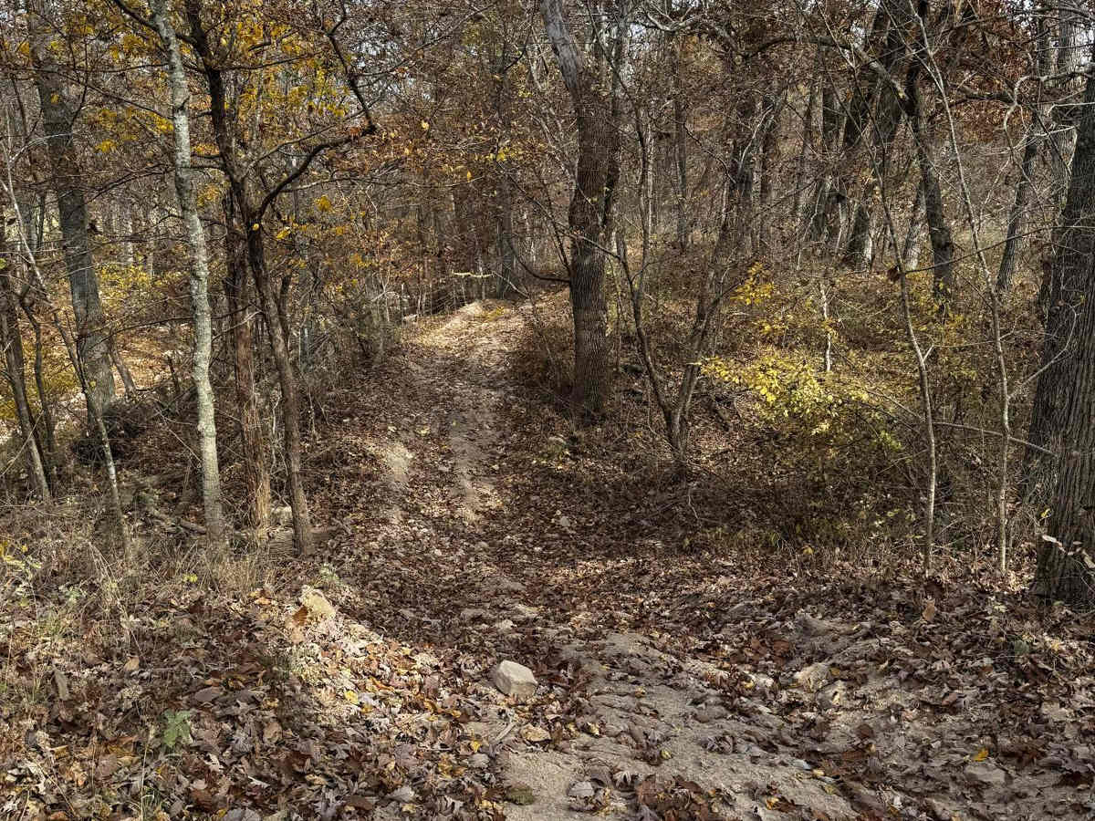 Bounty Hill Access photo 2