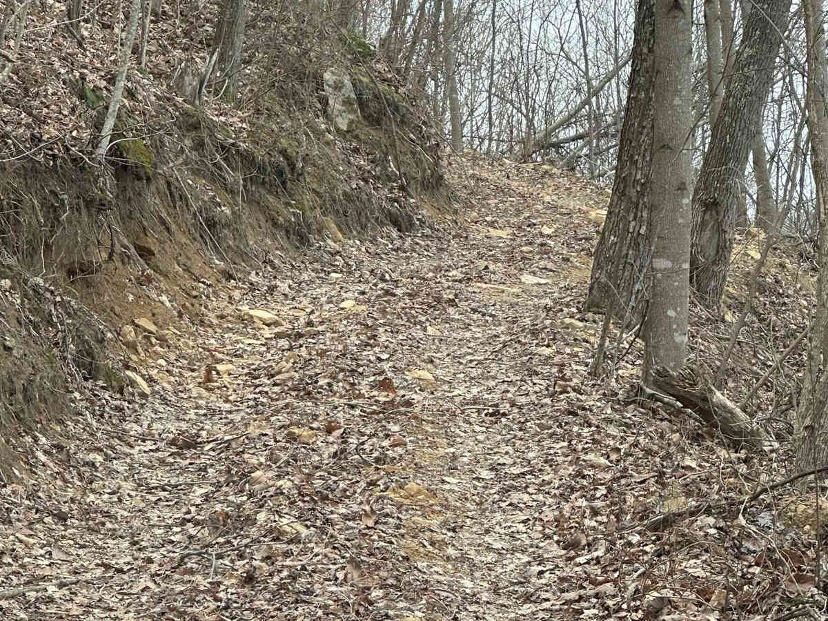 103B photo 3