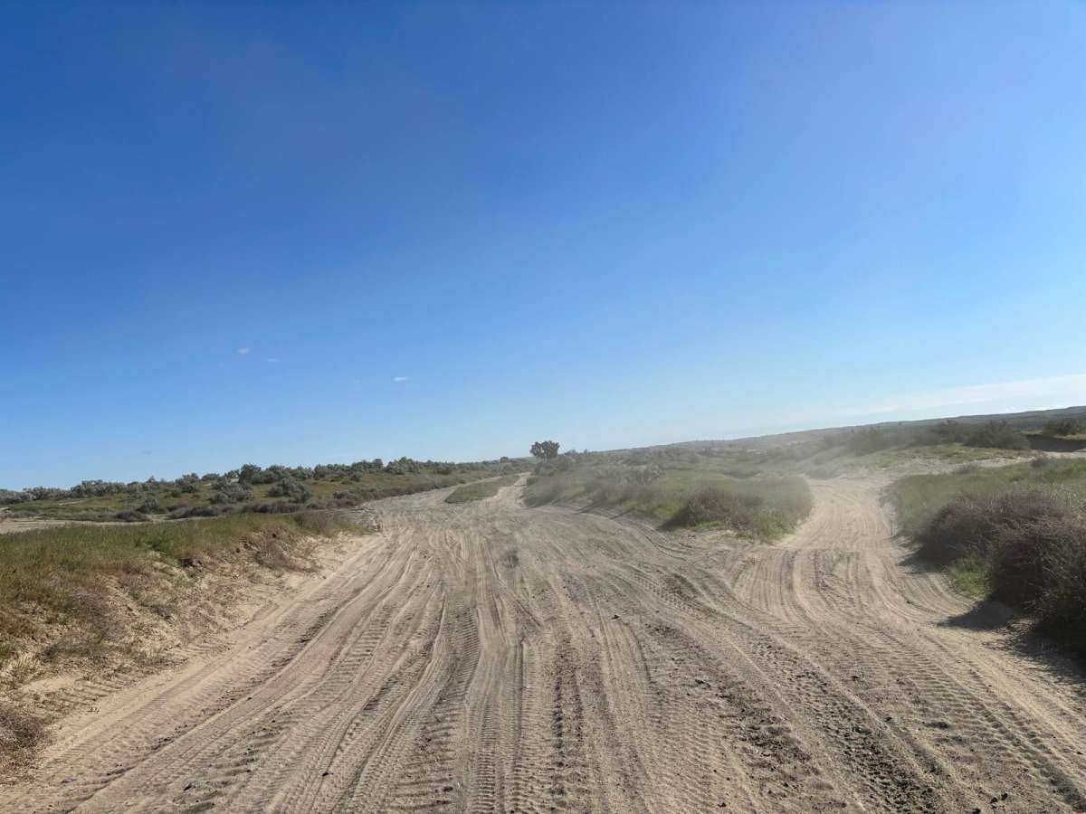 Juniper Dunes Road photo 3