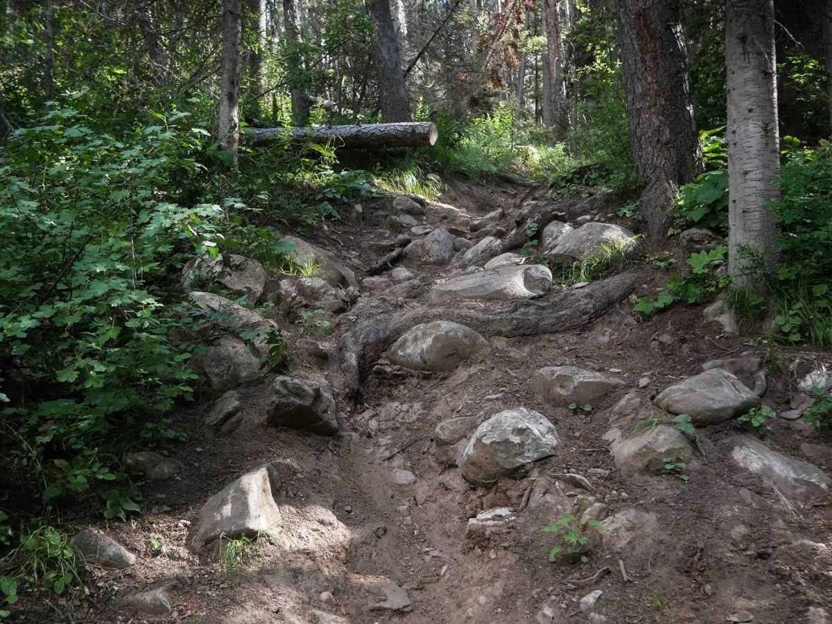Bailey #3349  trail photo