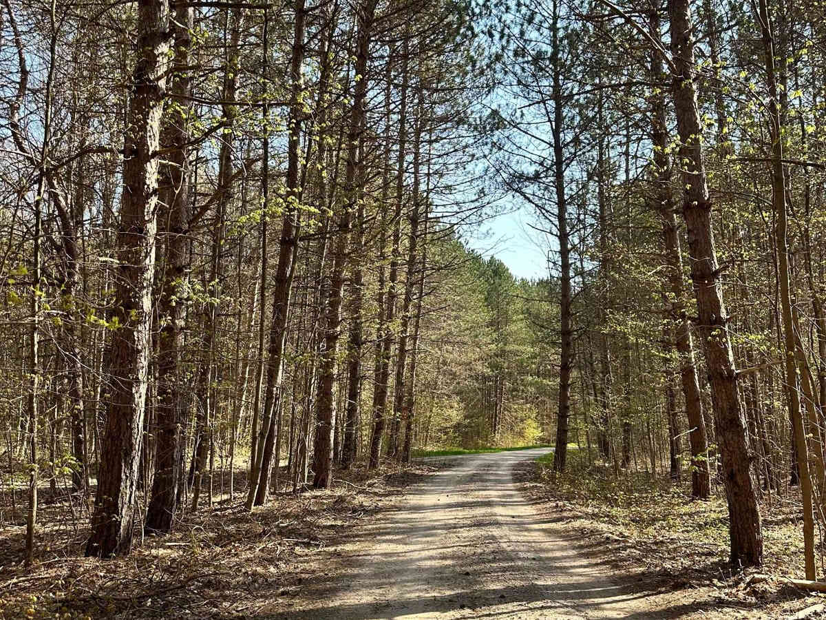 Cadillac Area ORV/OHV Scenic Ride - Part 9 trail photo