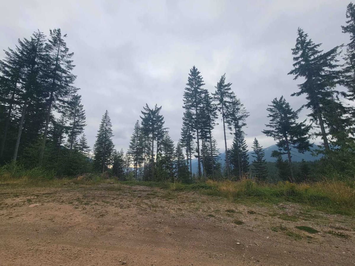 Mesatchee Creek Offroad Trail photo 5