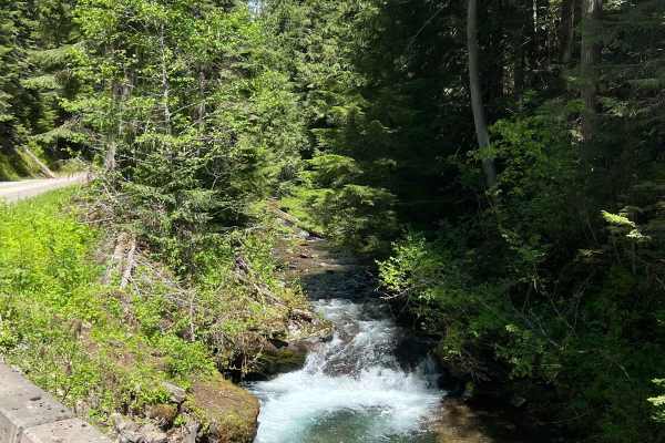 Bird Creek Divide
