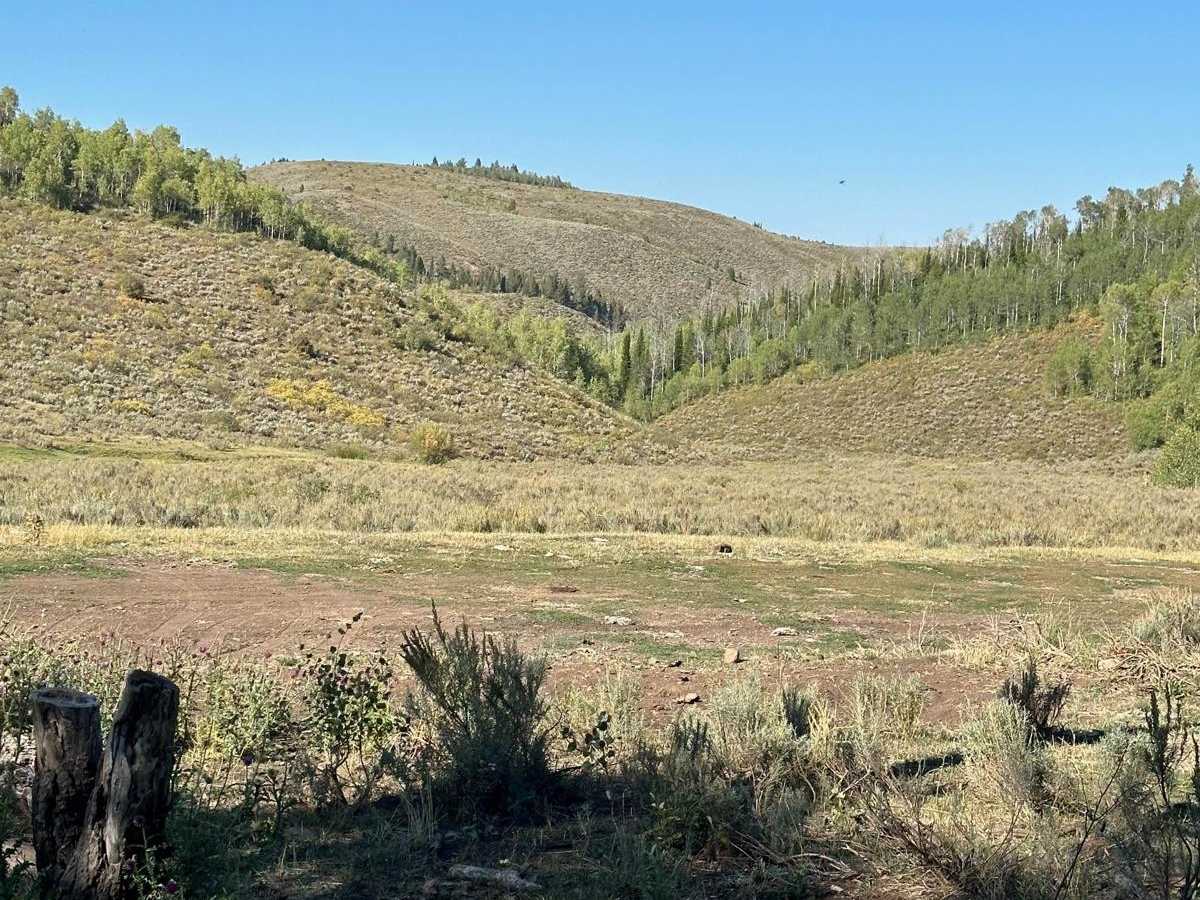 Elk Valley photo 4