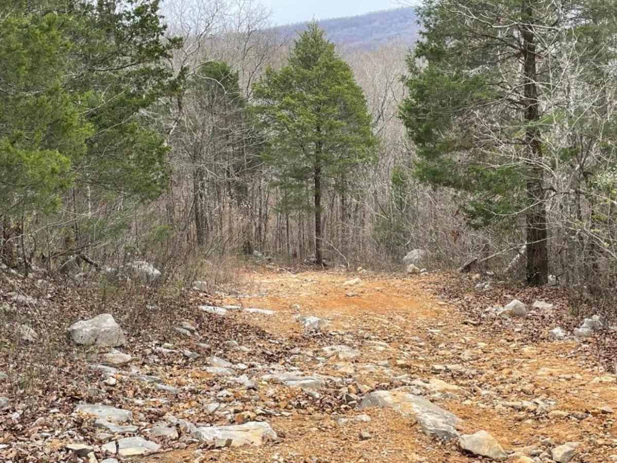 Upper Ridge Trail photo 6