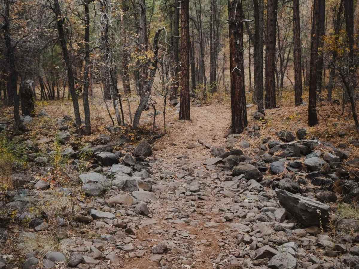 Munds Canyon trail photo