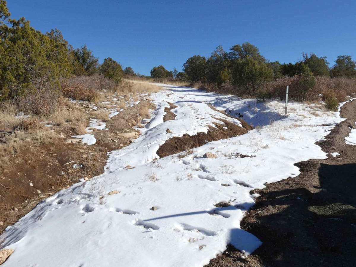 North Coe trail photo