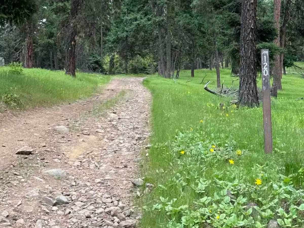 Upper Boulder photo 4