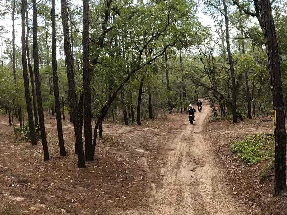 Croom ORV Park photo 2