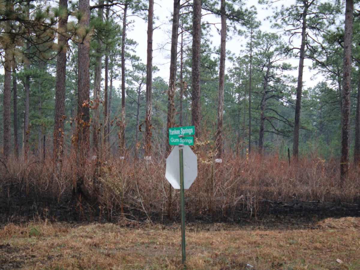 Gum Springs and Crooked Roads photo 6