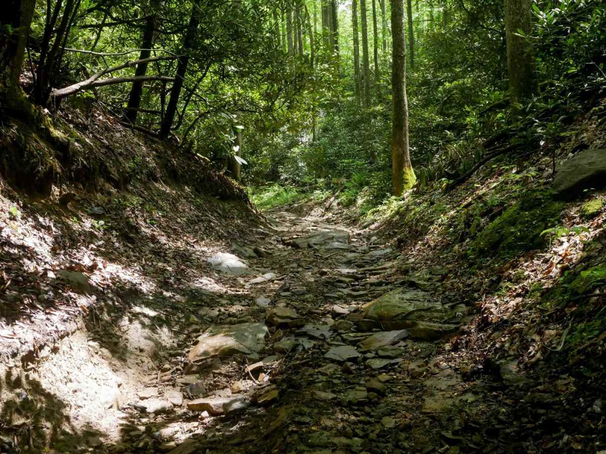 OP 97 trail photo