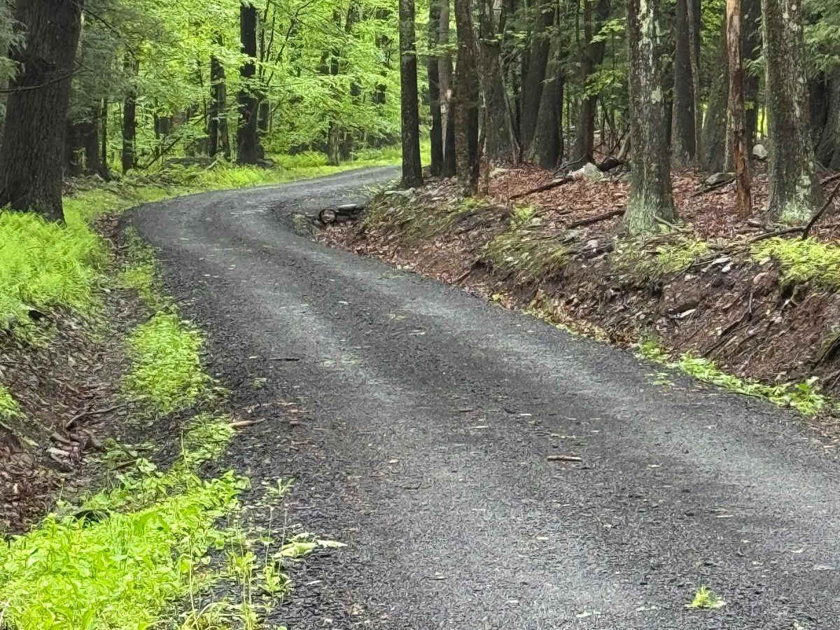 Denman Mountain Rd photo 3