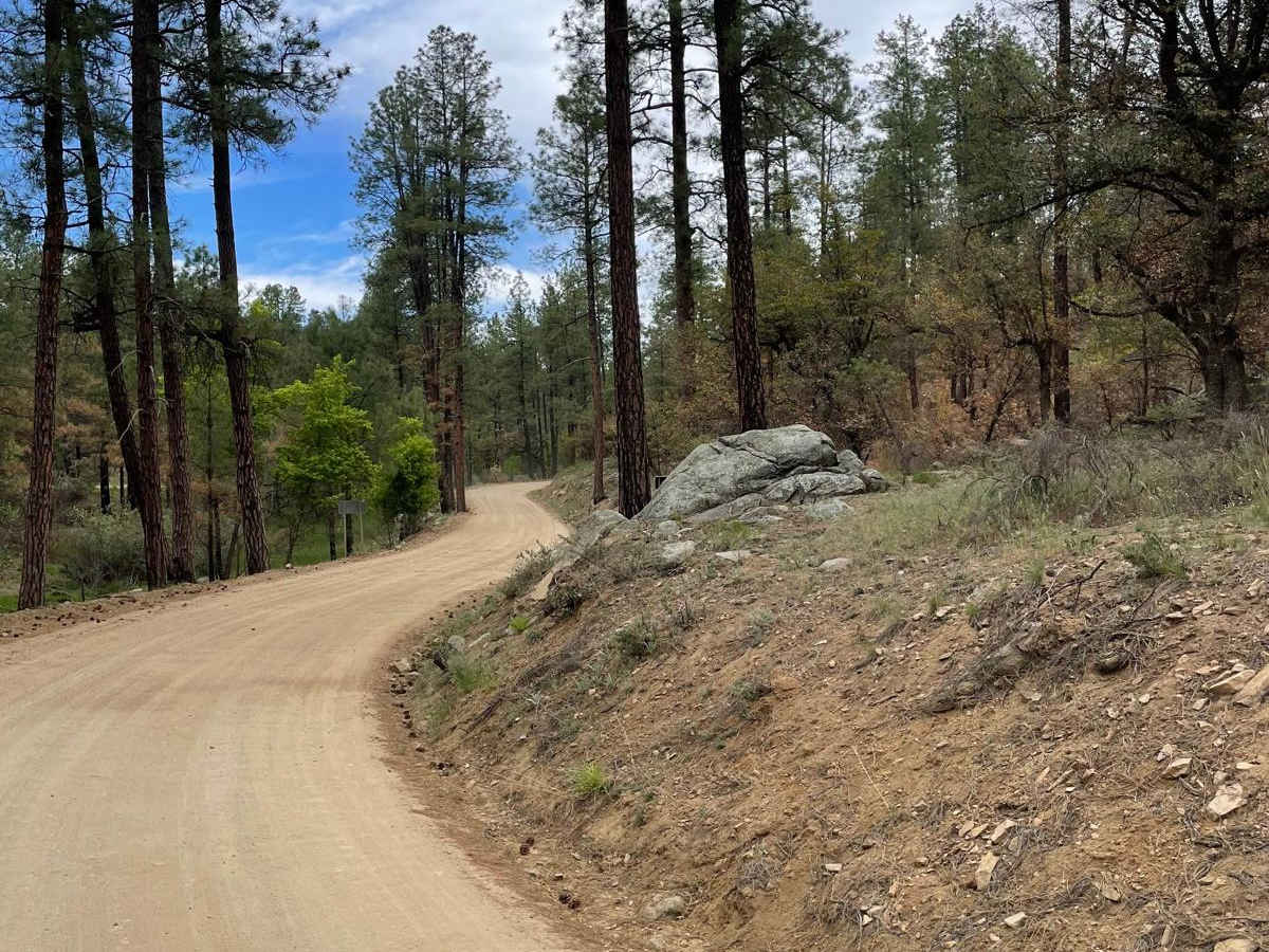 Wolf Creek to Senator Highway photo 5