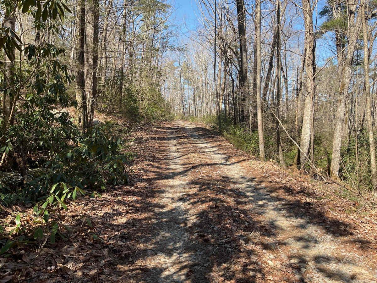 Mill Creek Overlook - FS-630A photo 4