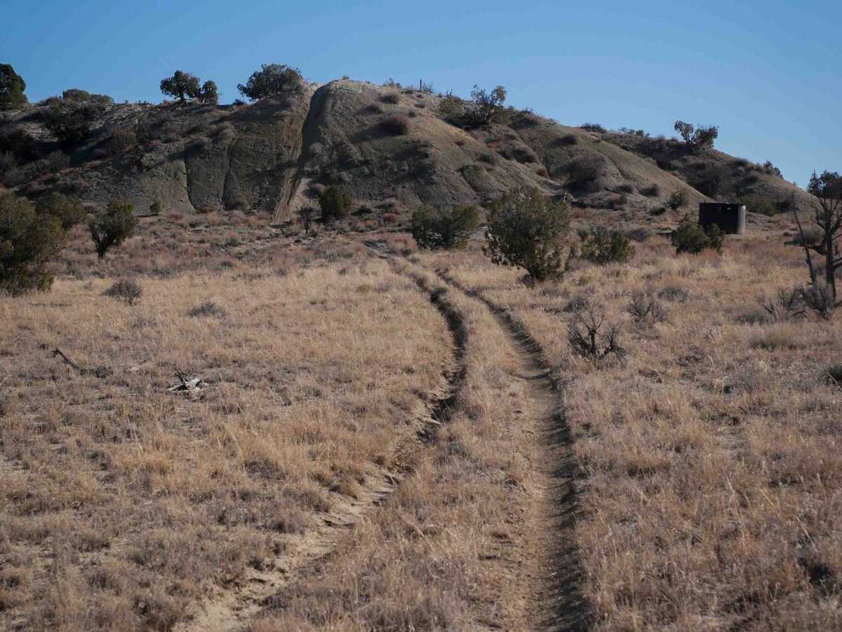 Ridge Singletrack photo 4