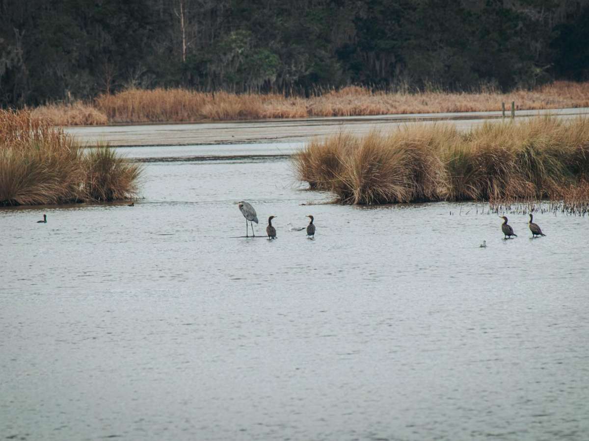 Donnelly WMA PT.7 photo 4