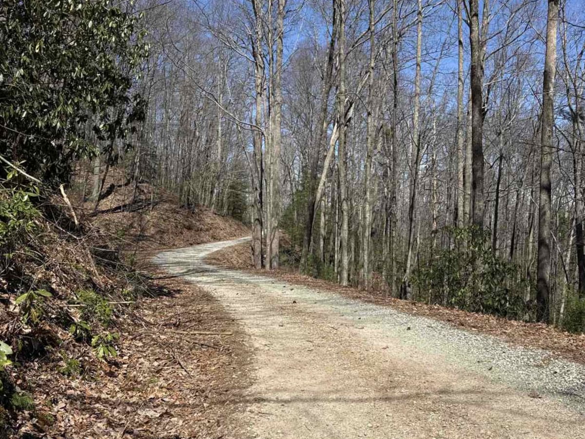 Indian Grave Gap - FR 283 photo 3