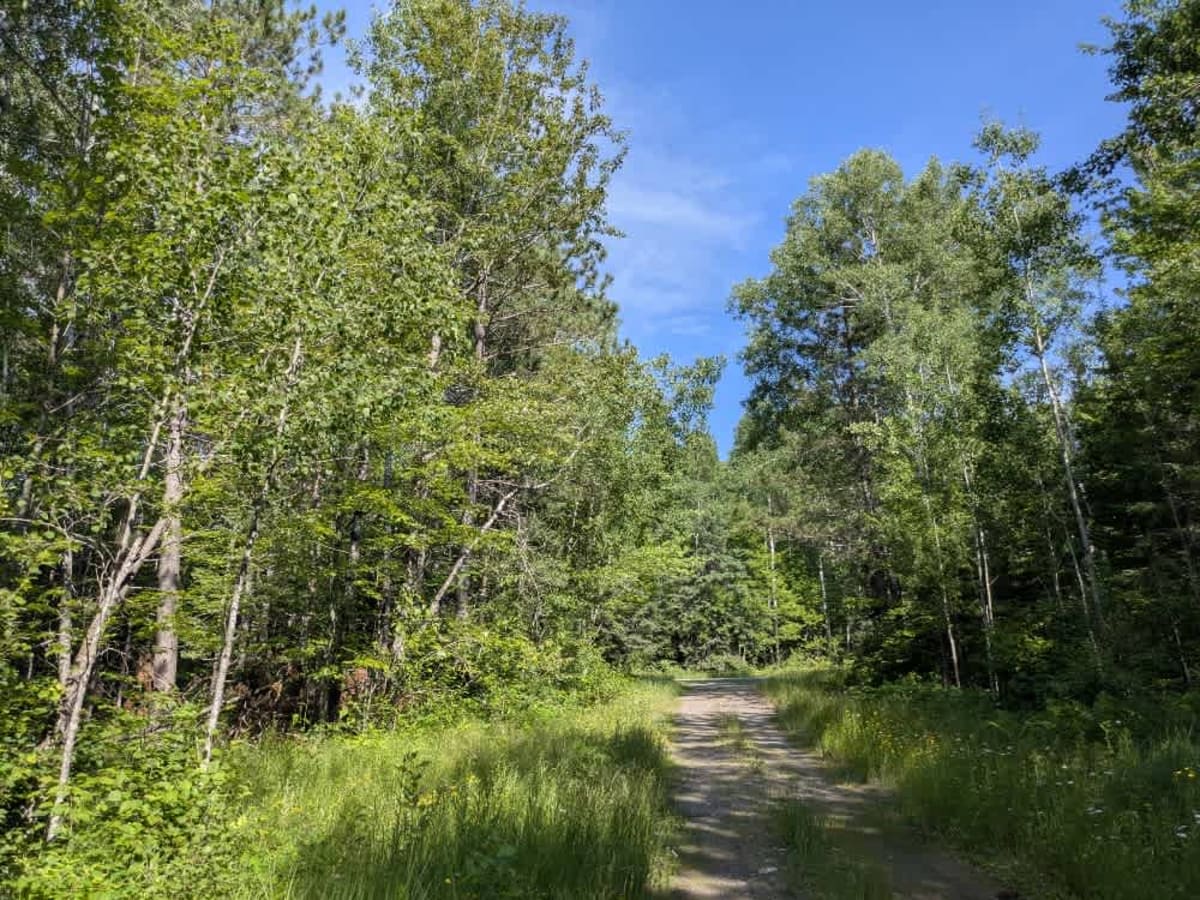 Mooseline Spur K trail photo
