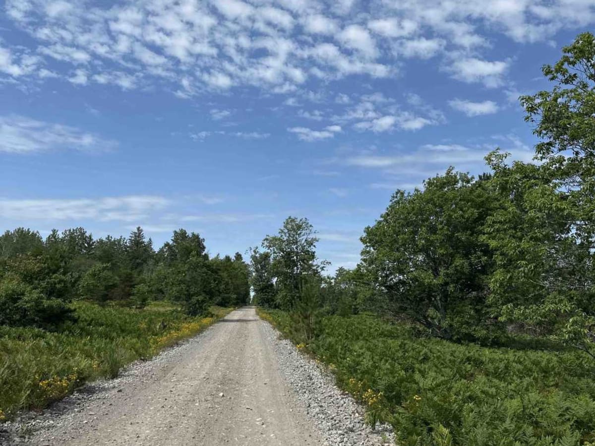 Star Road photo 6