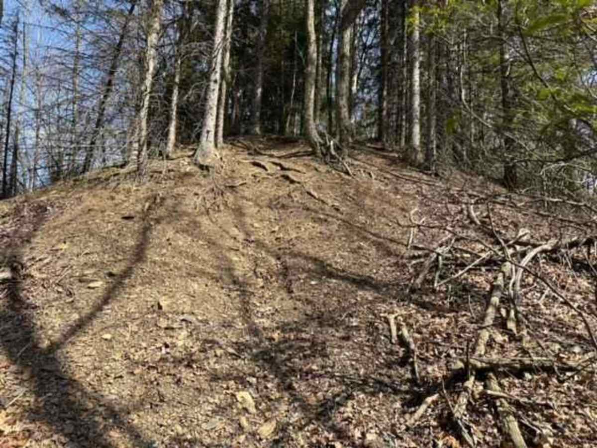 St. Keirns Single Track 5 trail photo