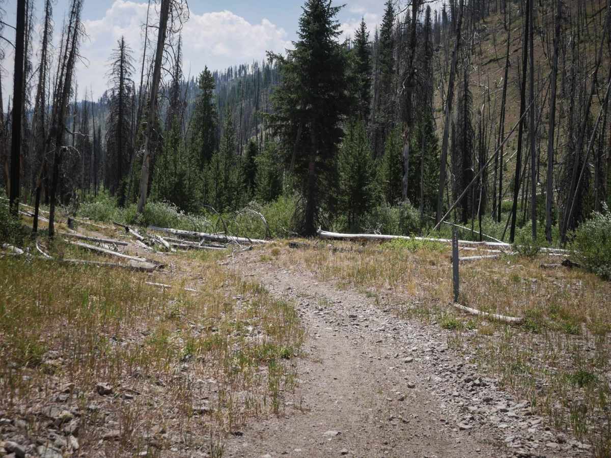 Lower Basin ATV trail photo