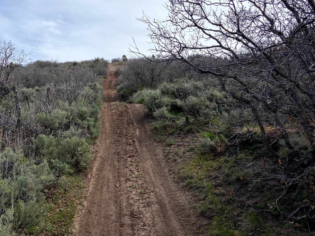 Hungry Gulch photo 5