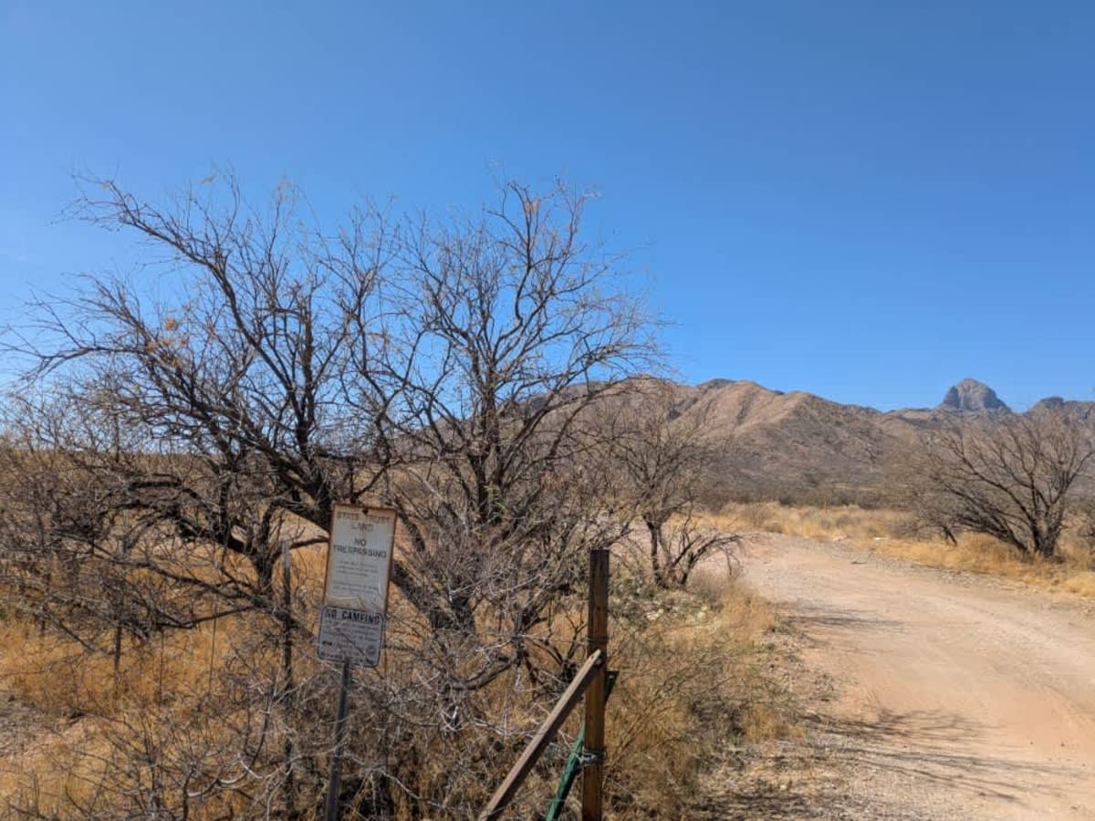 Brown Canyon Trail photo 6