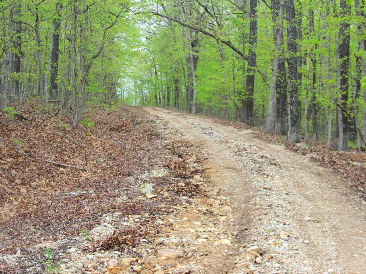 Cistern Ridge - FS 2478 photo 6