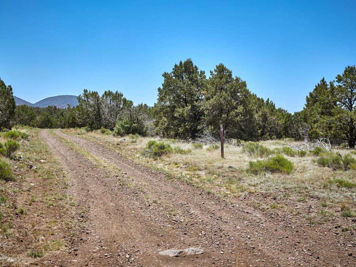 Old 84 Road trail photo