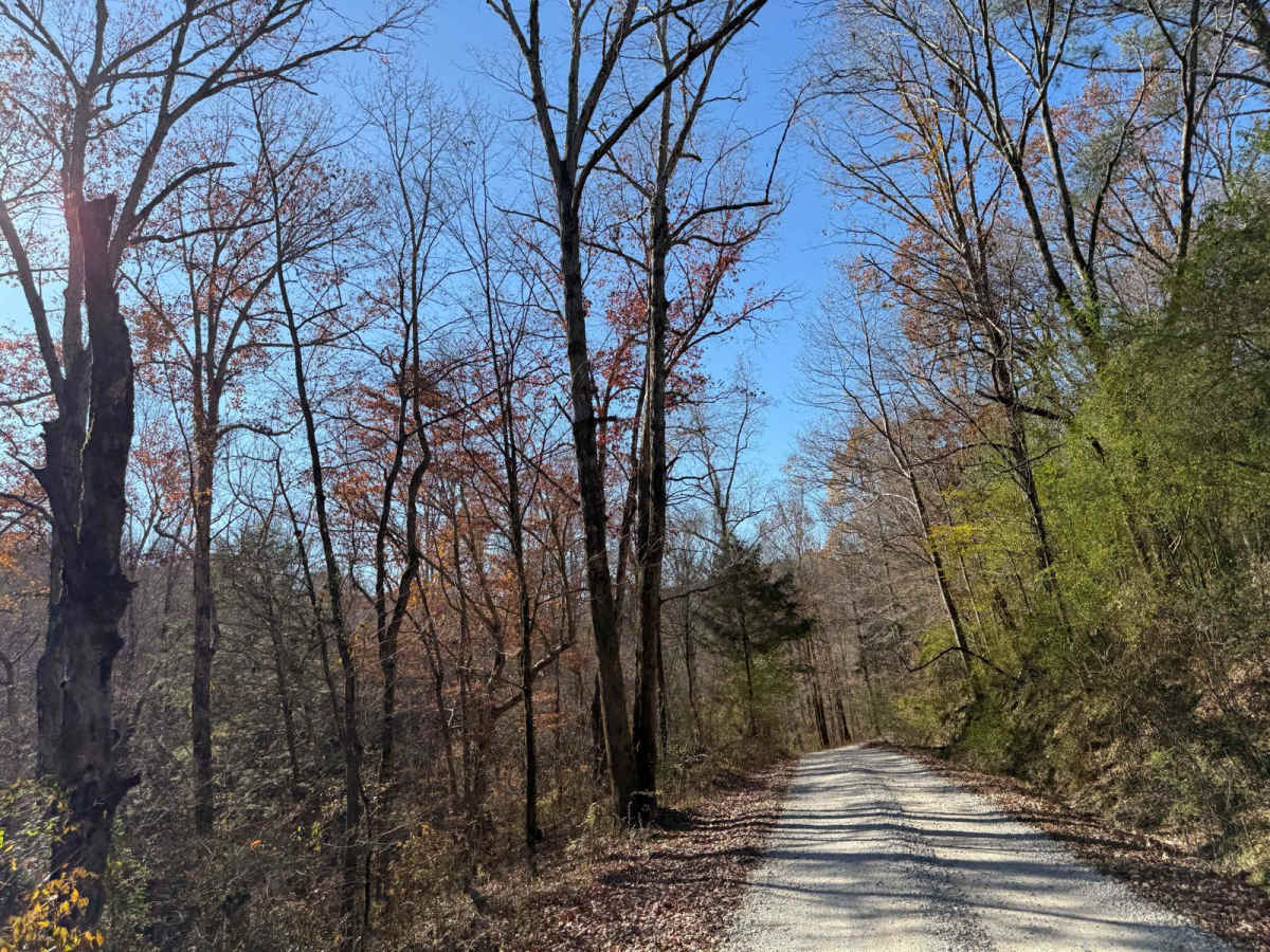 Mount Olive Road - FS 245 photo 3