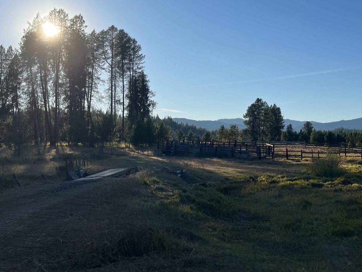 Moose Creek Campground Cutoff photo 6
