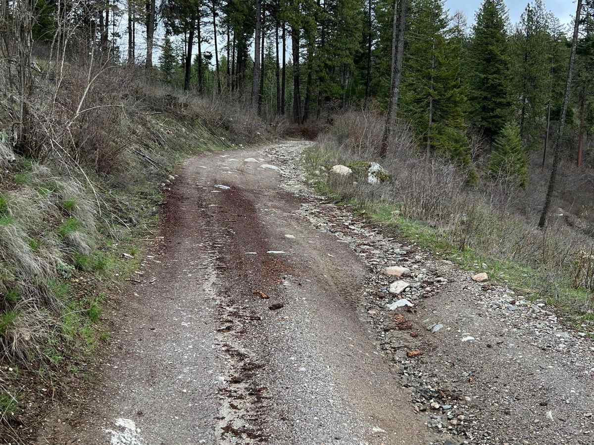 Cape Horn Mountain photo 4