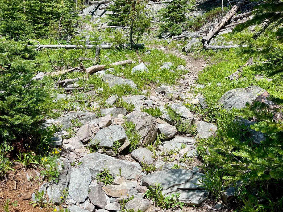 North Fork Big Creek photo 2