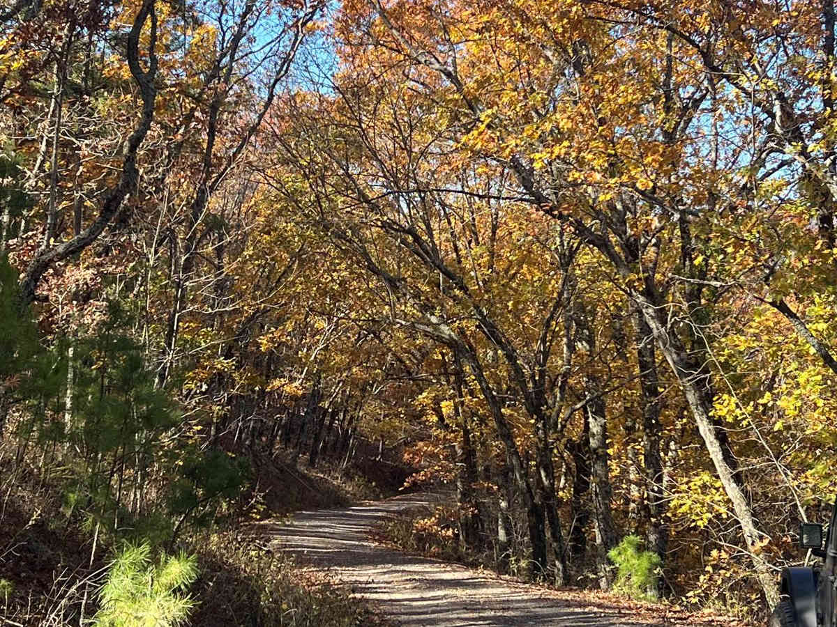Lenox Ridge Road photo 6