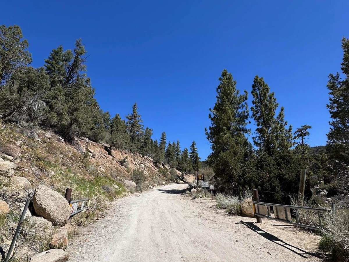 Van Dusen Canyon - 3N09 photo 4