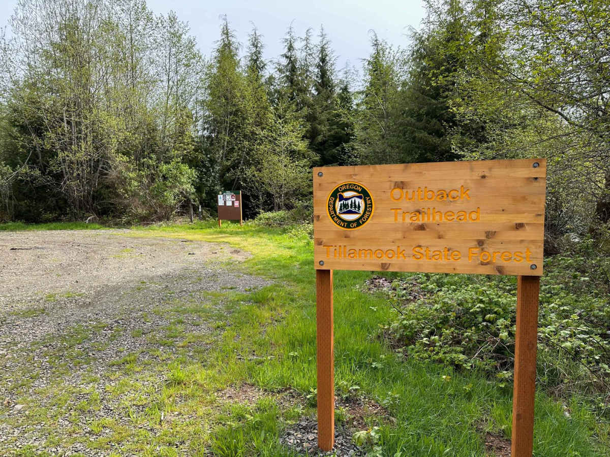 Coal Creek photo 4