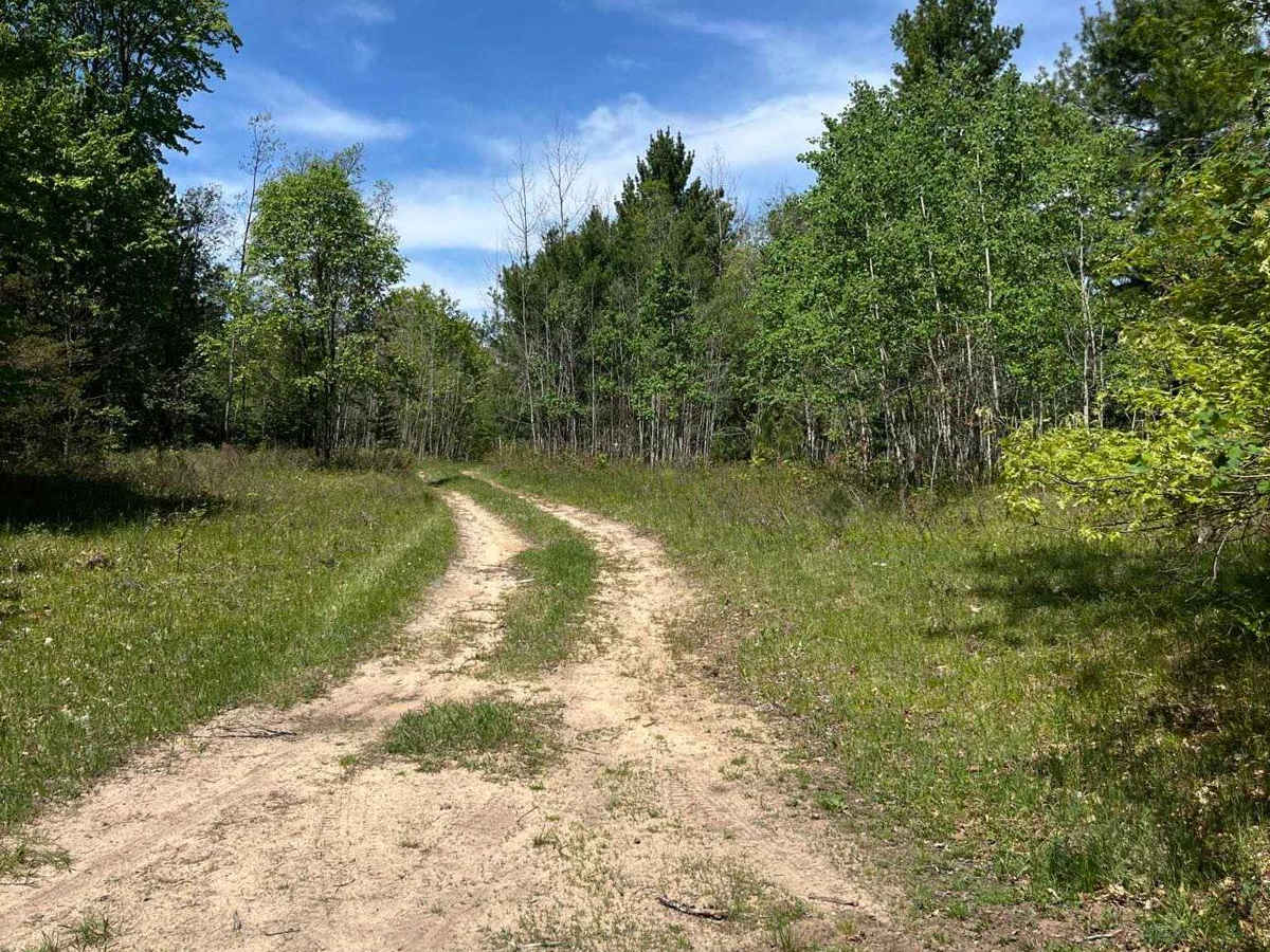 Cadillac Pathway trail photo