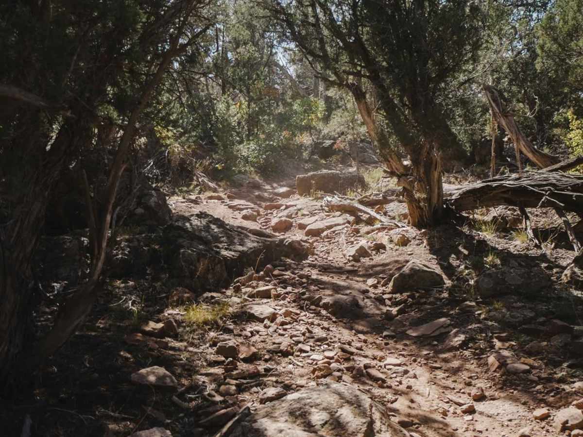 Lower Spring Creek Trail photo 6